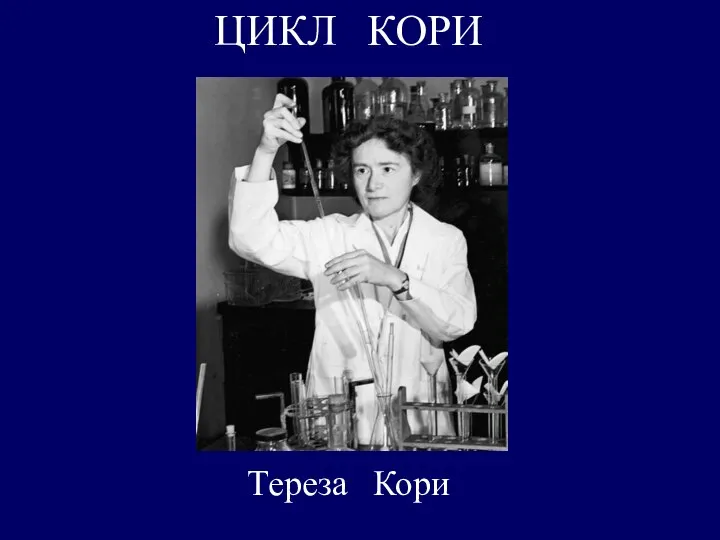 Тереза Кори ЦИКЛ КОРИ