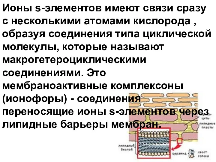 Ионы s-элементов имеют связи сразу с несколькими атомами кислорода , образуя