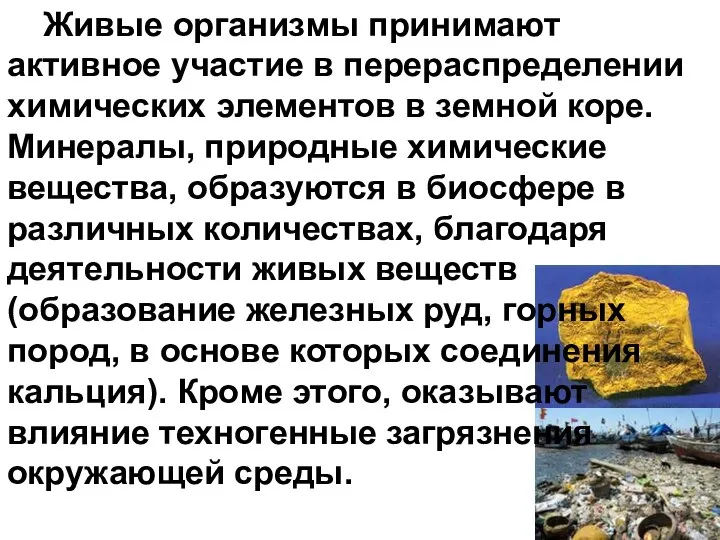 Живые организмы принимают активное участие в перераспределении химических элементов в земной