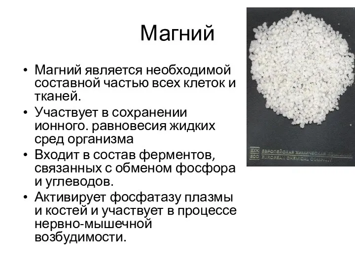 Магний Магний является необходимой составной частью всех клеток и тканей. Участвует