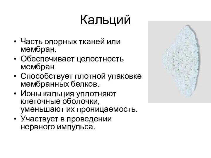 Кальций Часть опорных тканей или мембран. Обеспечивает целостность мембран Способствует плотной