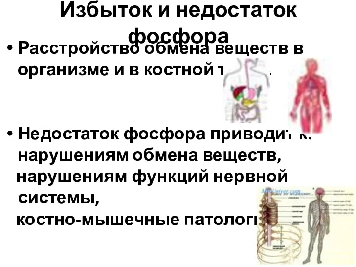 Избыток и недостаток фосфора Расстройство обмена веществ в организме и в