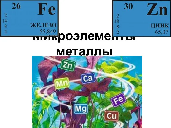 Микроэлементы металлы