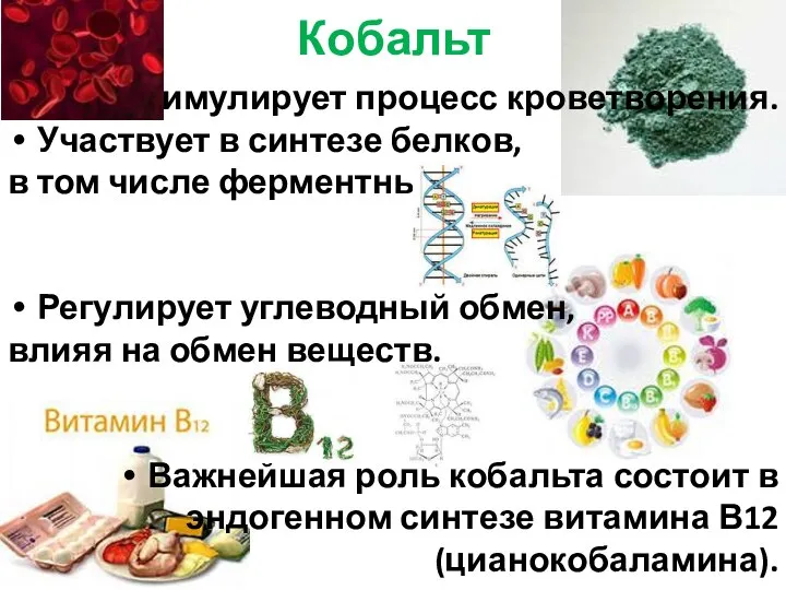 Кобальт Стимулирует процесс кроветворения. Участвует в синтезе белков, в том числе