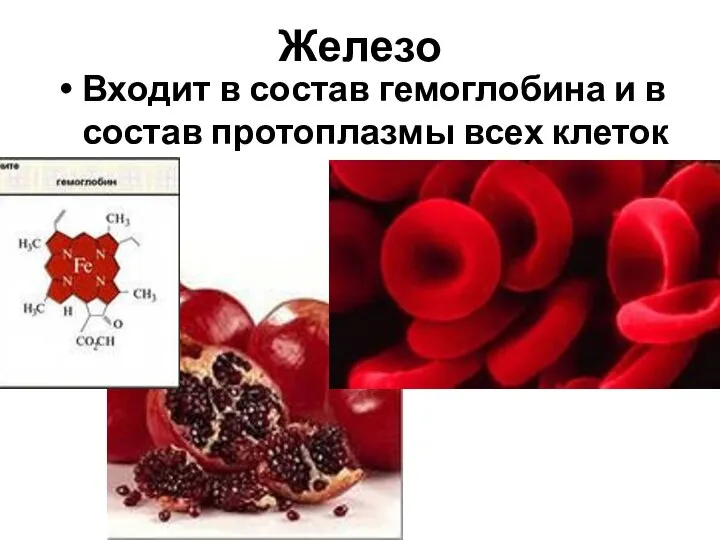 Железо Входит в состав гемоглобина и в состав протоплазмы всех клеток