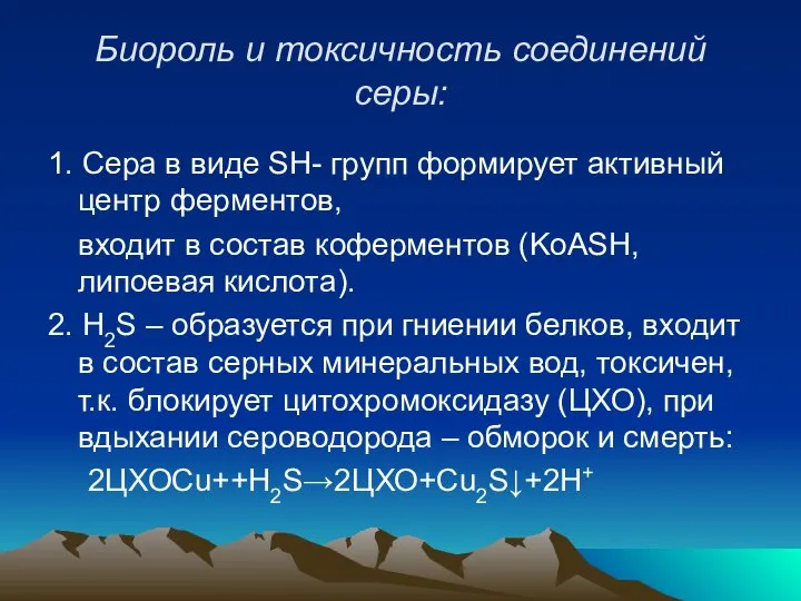 Биороль и токсичность соединений серы: 1. Сера в виде SH- групп