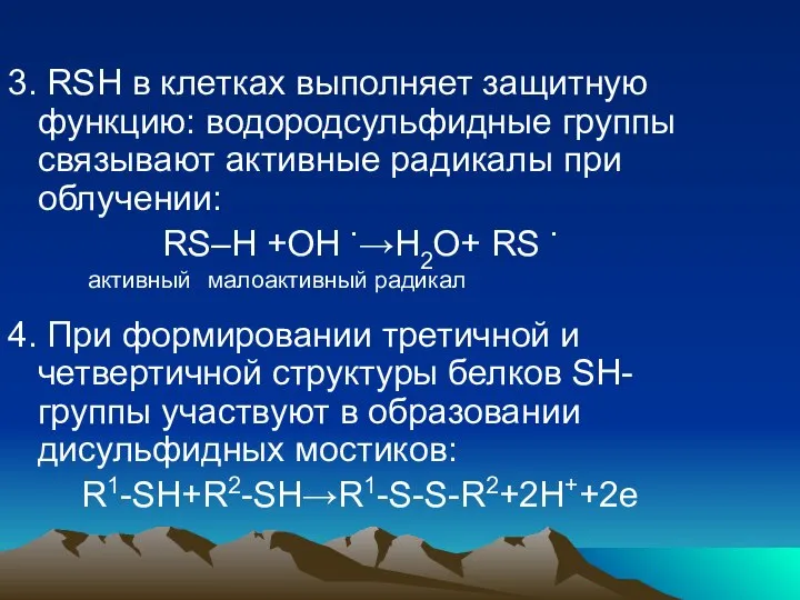 3. RSH в клетках выполняет защитную функцию: водородсульфидные группы связывают активные