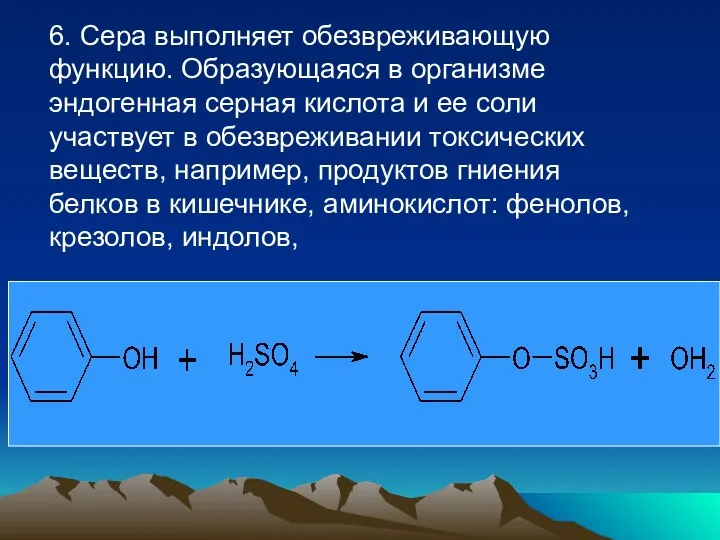 6. Сера выполняет обезвреживающую функцию. Образующаяся в организме эндогенная серная кислота