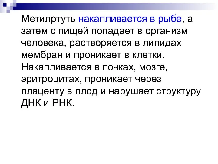 Метилртуть накапливается в рыбе, а затем с пищей попадает в организм