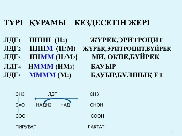 ТҮРІ ҚҰРАМЫ КЕЗДЕСЕТІН ЖЕРІ ЛДГ1 НННН (Н4) ЖҮРЕК,ЭРИТРОЦИТ ЛДГ2 НННМ (Н3М)