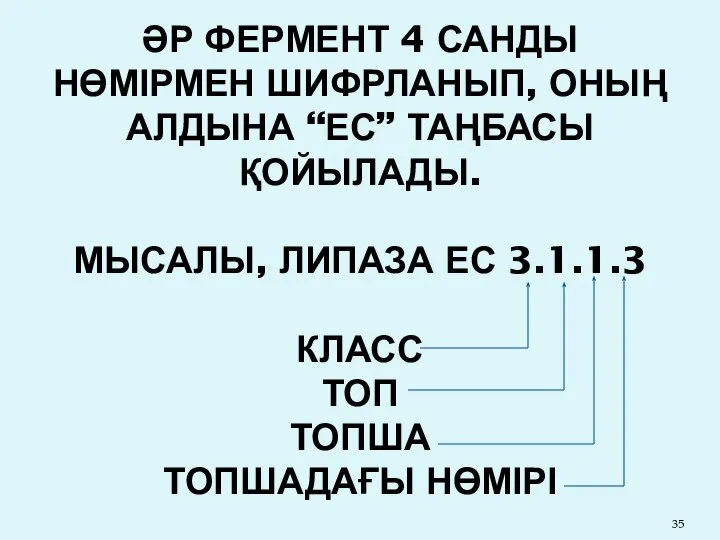 ӘР ФЕРМЕНТ 4 САНДЫ НӨМІРМЕН ШИФРЛАНЫП, ОНЫҢ АЛДЫНА “ЕС” ТАҢБАСЫ ҚОЙЫЛАДЫ.