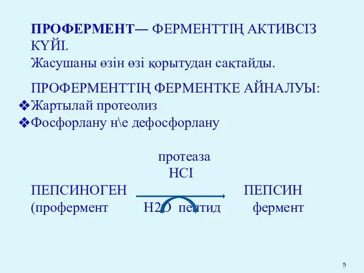 ПРОФЕРМЕНТ― ФЕРМЕНТТІҢ АКТИВСІЗ КҮЙІ. Жасушаны өзін өзі қорытудан сақтайды. ПРОФЕРМЕНТТІҢ ФЕРМЕНТКЕ