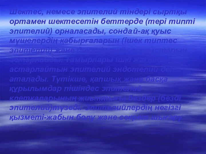 Шектес, немесе эпителий тіндері сыртқы ортамен шектесетін беттерде (тері типті эпителий)