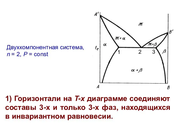 Двухкомпонентная система, n = 2, P = const 1) Горизонтали на