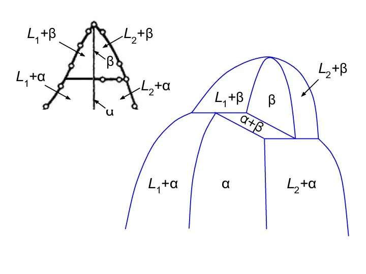 β α L1+β L1+α L2+α L2+β α+β