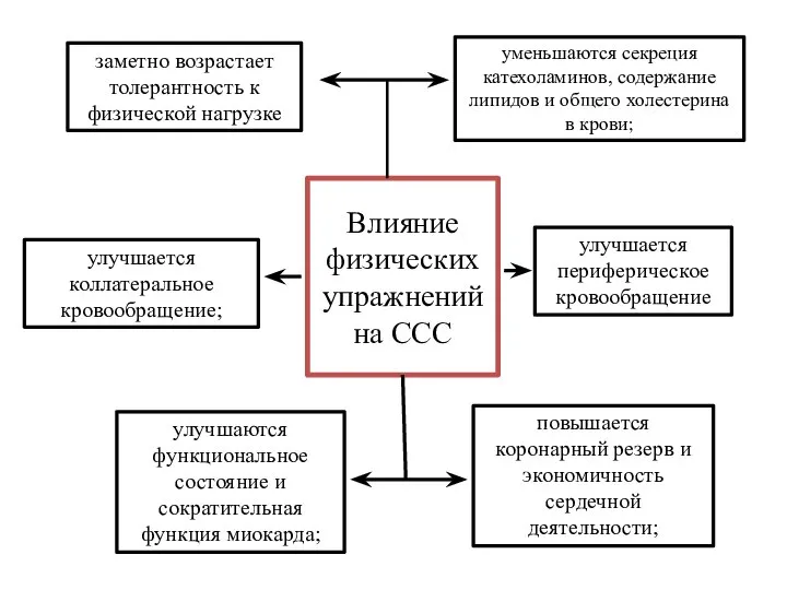 Влияние физических упражнений на ССС заметно возрастает толерантность к физической нагрузке