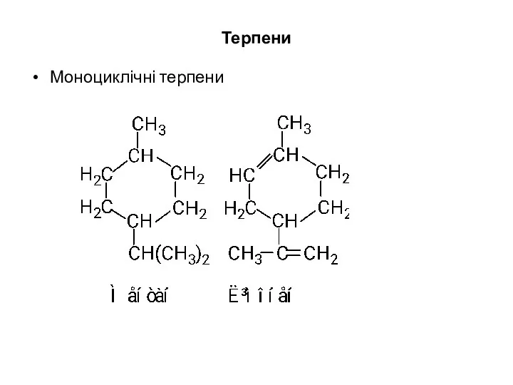 Терпени Моноциклічні терпени