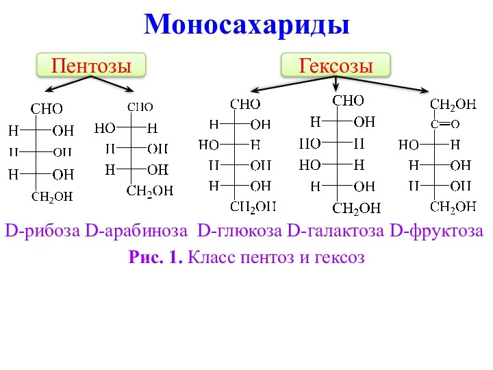 Моносахариды D-рибоза D-арабиноза D-глюкоза D-галактоза D-фруктоза Рис. 1. Класс пентоз и гексоз Пентозы Гексозы