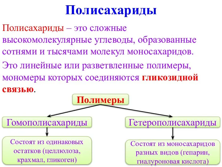 Полисахариды Полисахариды – это сложные высокомолекулярные углеводы, образованные сотнями и тысячами