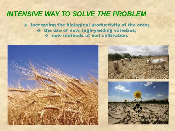INTENSIVE WAY TO SOLVE THE PROBLEM increasing the biological productivity of