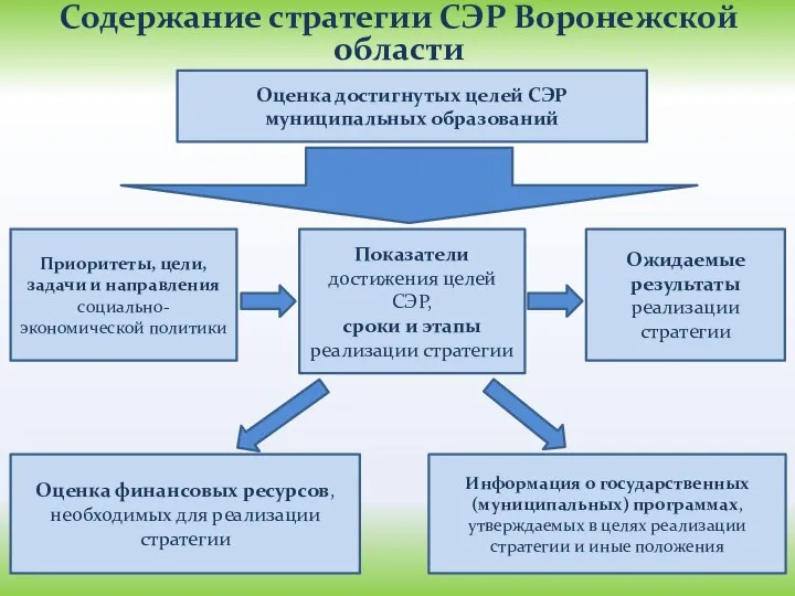 Содержание стратегии СЭР Воронежской области Оценка достигнутых целей СЭР муниципальных образований