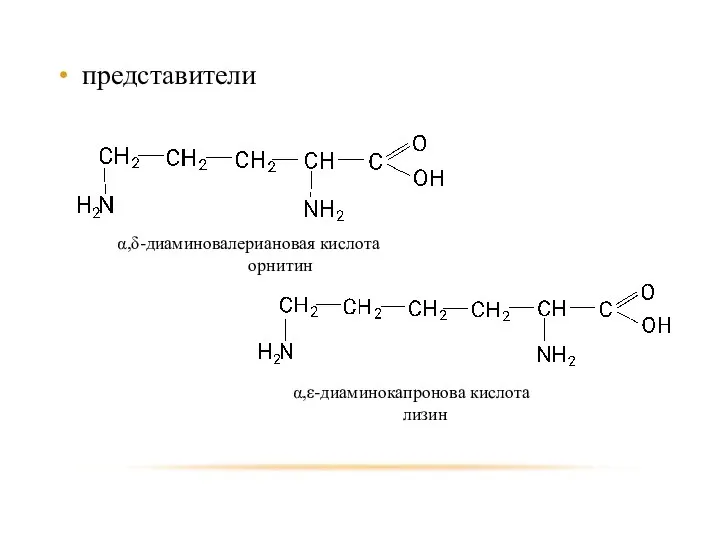 представители α,δ-диаминовалериановая кислота орнитин α,ε-диаминокапронова кислота лизин