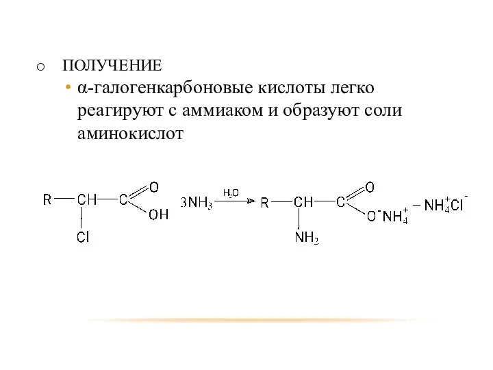 ПОЛУЧЕНИЕ α-галогенкарбоновые кислоты легко реагируют с аммиаком и образуют соли аминокислот