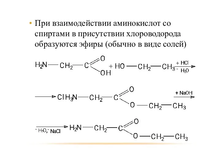 При взаимодействии аминокислот со спиртами в присутствии хлороводорода образуются эфиры (обычно в виде солей)