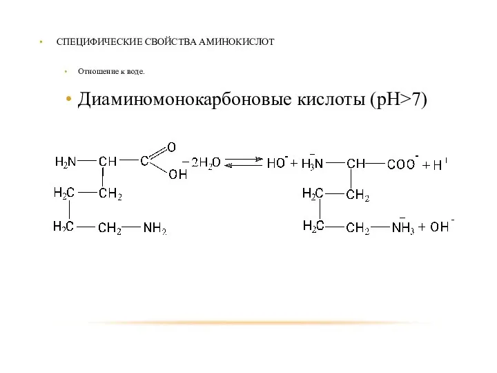 СПЕЦИФИЧЕСКИЕ СВОЙСТВА АМИНОКИСЛОТ Отношение к воде. Диаминомонокарбоновые кислоты (рН>7)