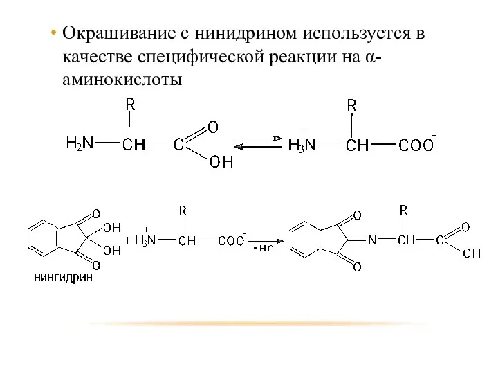 Окрашивание с нинидрином используется в качестве специфической реакции на α-аминокислоты