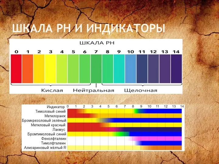 ШКАЛА PH И ИНДИКАТОРЫ