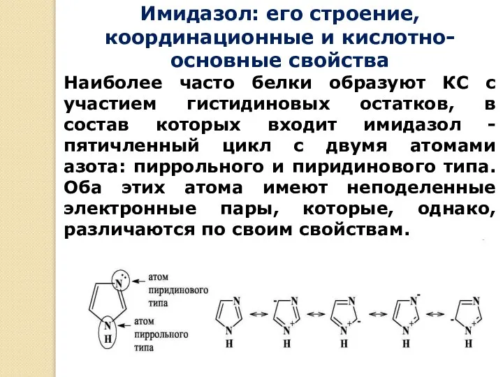 Имидазол: его строение, координационные и кислотно-основные свойства Наиболее часто белки образуют