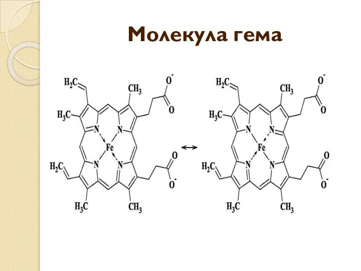 Молекула гема