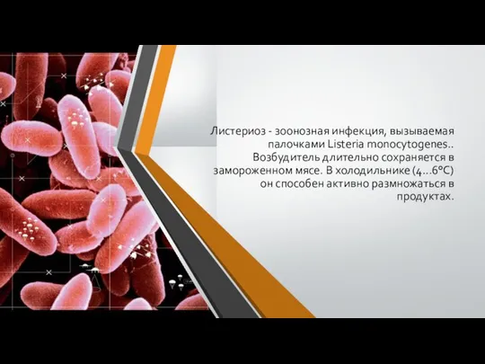 Листериоз - зоонозная инфекция, вызываемая палочками Listeria monocytogenes.. Возбудитель длительно сохраняется