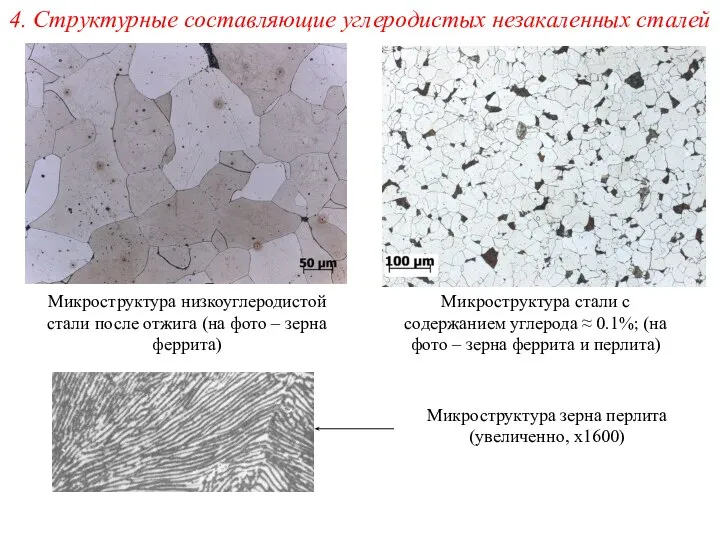 4. Структурные составляющие углеродистых незакаленных сталей Микроструктура низкоуглеродистой стали после отжига