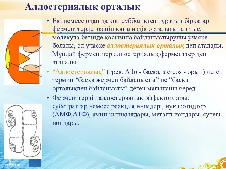 Аллостериялық орталық Екі немесе одан да көп суббөліктен тұратын бірқатар ферменттерде,