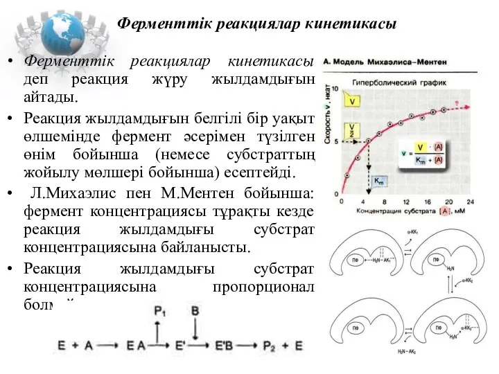 Ферменттік реакциялар кинетикасы Ферменттік реакциялар кинетикасы деп реакция жүру жылдамдығын айтады.