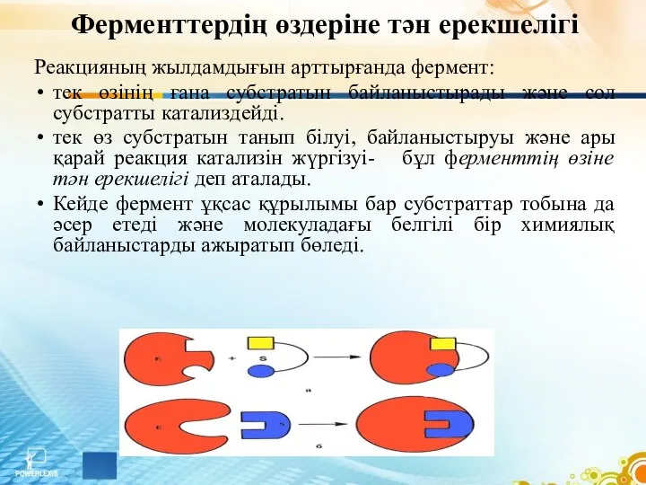 Ферменттердің өздеріне тән ерекшелігі Реакцияның жылдамдығын арттырғанда фермент: тек өзінің ғана