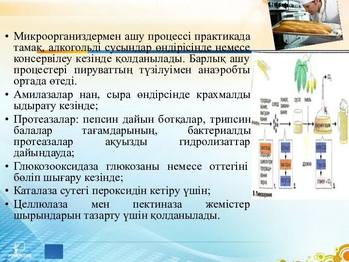 Микроорганиздермен ашу процессі практикада тамақ, алкогольді сусындар өндірісінде немесе консервілеу кезінде