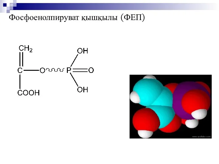 Фосфоенолпируват қышқылы (ФЕП)