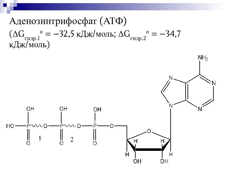 Аденозинтрифосфат (АТФ) (ΔGгидр.1о = –32,5 кДж/моль; ΔGгидр.2о = –34,7 кДж/моль)