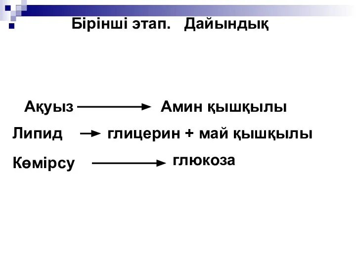 Бірінші этап. Дайындық Ақуыз Амин қышқылы Липид глицерин + май қышқылы Көмірсу глюкоза