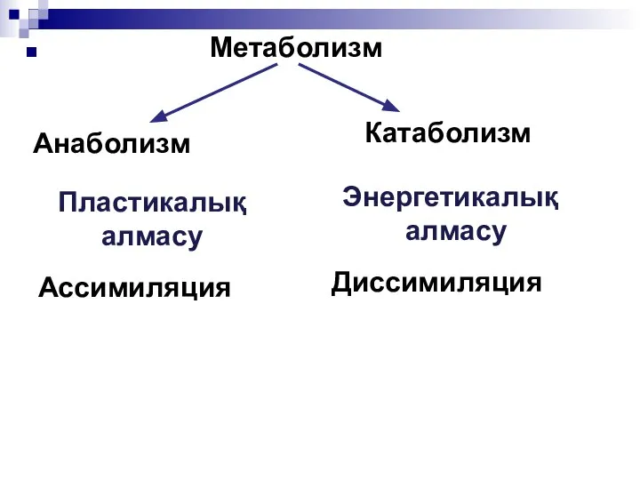 Метаболизм Анаболизм Пластикалық алмасу Ассимиляция Катаболизм Энергетикалық алмасу Диссимиляция