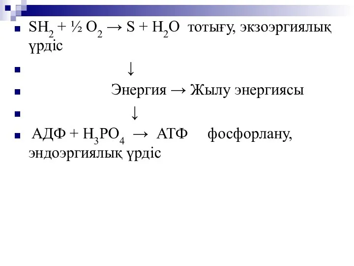 SH2 + ½ O2 → S + Н2О тотығу, экзоэргиялық үрдіс