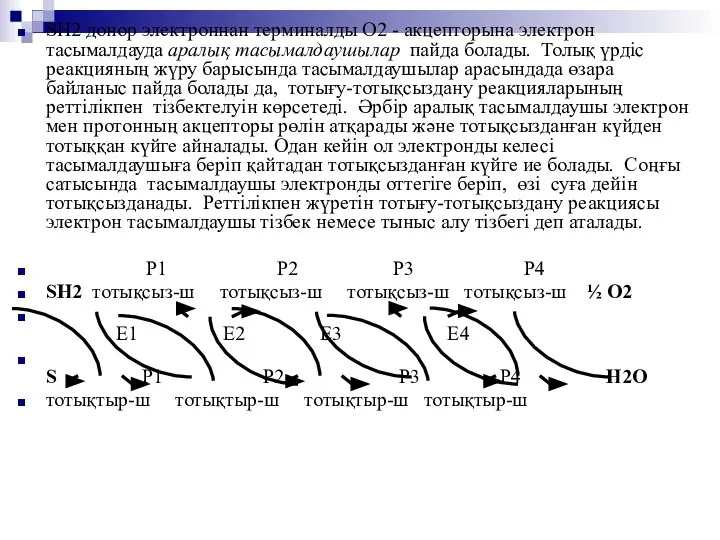 SH2 донор электроннан терминалды O2 - акцепторына электрон тасымалдауда аралық тасымалдаушылар