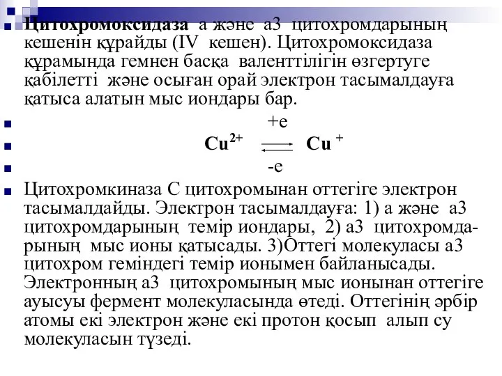 Цитохромоксидаза а және а3 цитохромдарының кешенін құрайды (IV кешен). Цитохромоксидаза құрамында