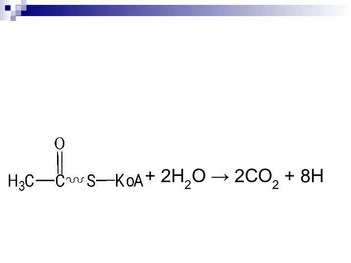 + 2Н2О → 2СО2 + 8Н