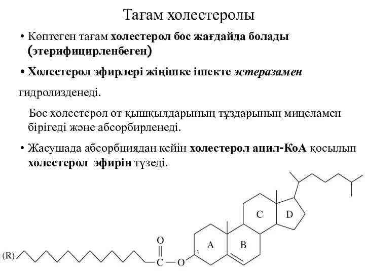 Тағам холестеролы Көптеген тағам холестерол бос жағдайда болады (этерифицирленбеген) Холестерол эфирлері