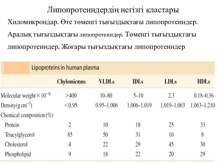 Липопротеиндердің негізгі кластары Хиломикрондар. Өте төменгі тығыздықтағы липопротеиндер. Аралық тығыздықтағы липопротеиндер.