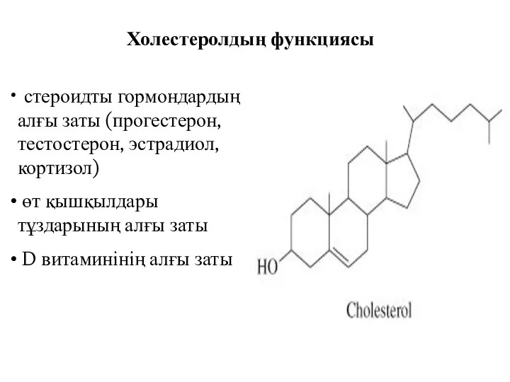 Холестеролдың функциясы стероидты гормондардың алғы заты (прогестерон, тестостерон, эстрадиол, кортизол) өт